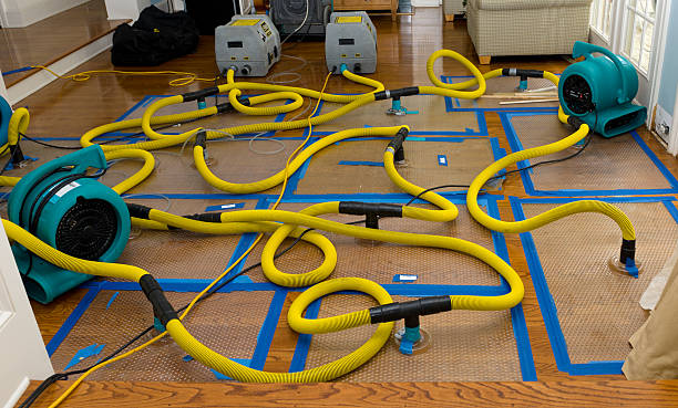 Professional Water Damage Repair technician working in Winn, MI